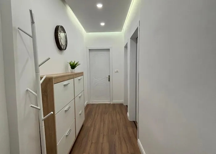 Palpoja Тирана